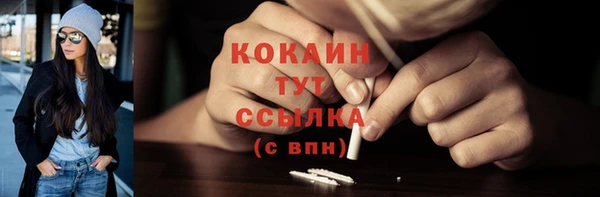 шишки Долгопрудный