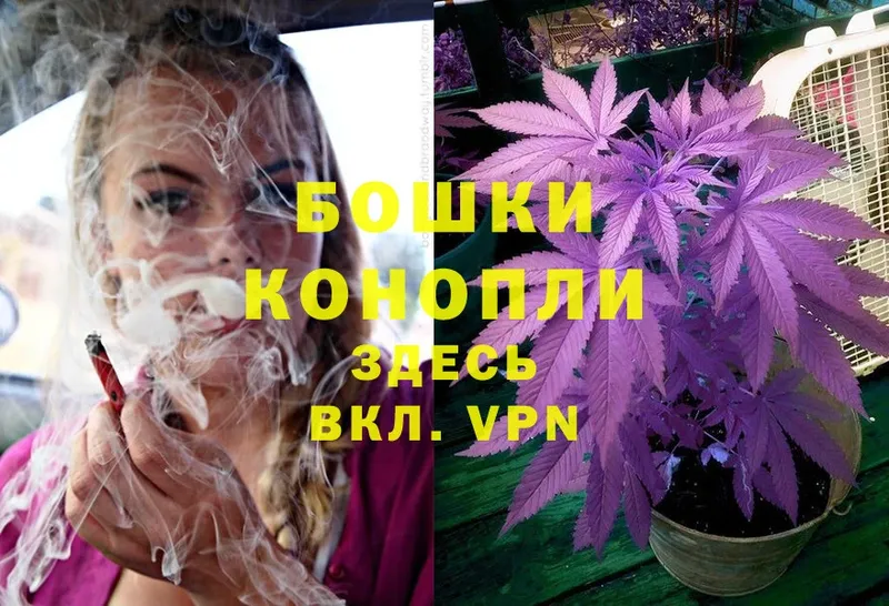 Канабис White Widow  Краснозаводск 